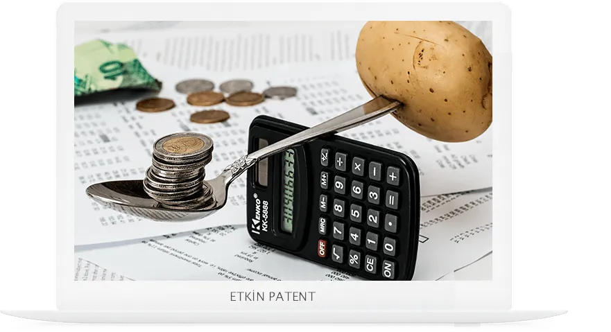 finansal davranışlara dair kombinasyon modeller-Amed Patent